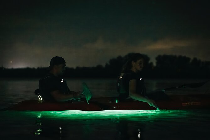 LED Bio Comb Jelly Clear Bottom Kayak or Paddleboard Tour! - Wheelchair Accessibility