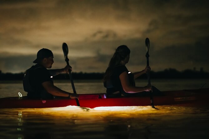 LED Bio Comb Jelly Clear Bottom Kayak or Paddleboard Tour! - Tour Group Size