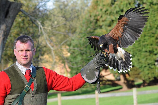 Leeds Castle Admission - Ultimate Explorer Tickets - Ticket Types and Pricing