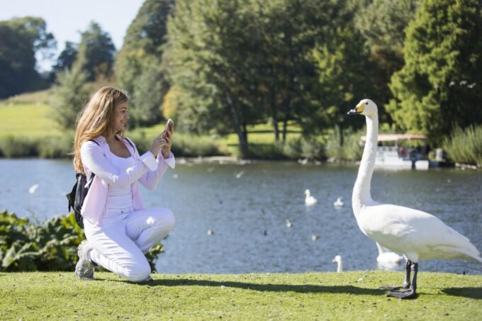 Leeds Castle, Canterbury Cathedral & Dover Private Tour - Inclusions and Amenities