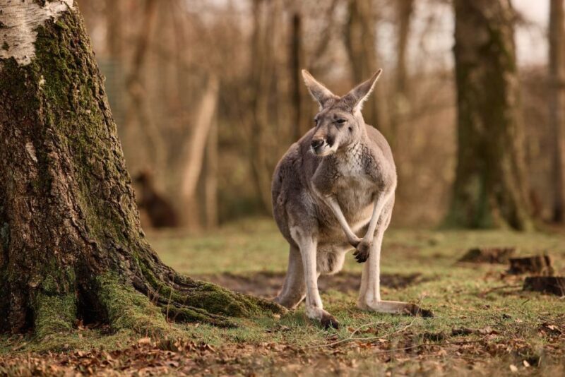 Leewarden: AquaZoo Entry Ticket - Key Points