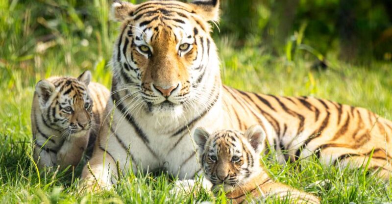 Leewarden: AquaZoo Entry Ticket - Animal Attractions