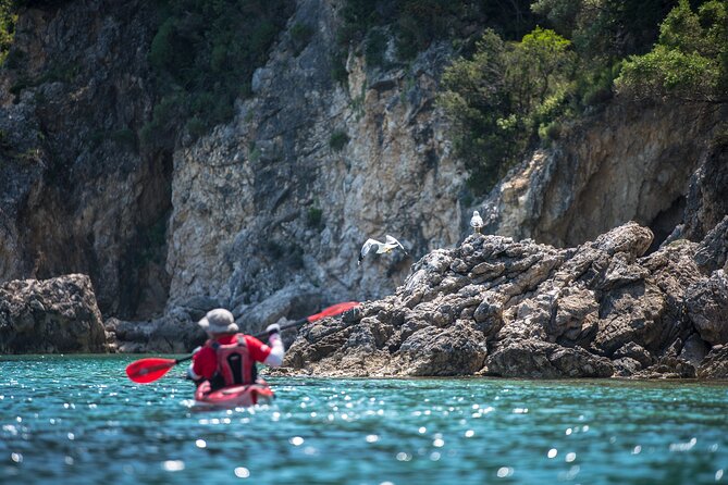 Lefkada Kayak : Explore Blue Cave With a Taste of Greece - Meeting Point and End Point