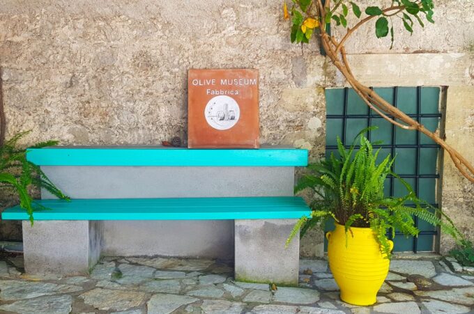 Lefkada: Olive Museum Fabbrica Ticket and Guided Tour - History and Evolution of Olive Oil
