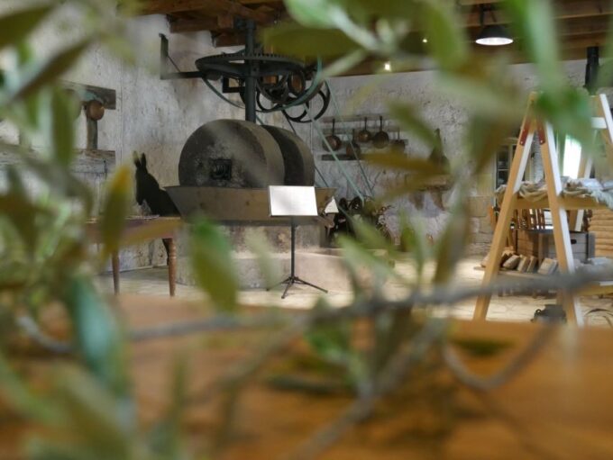 Lefkada: Olive Museum Fabbrica Ticket and Guided Tour - Customer Feedback and Ratings