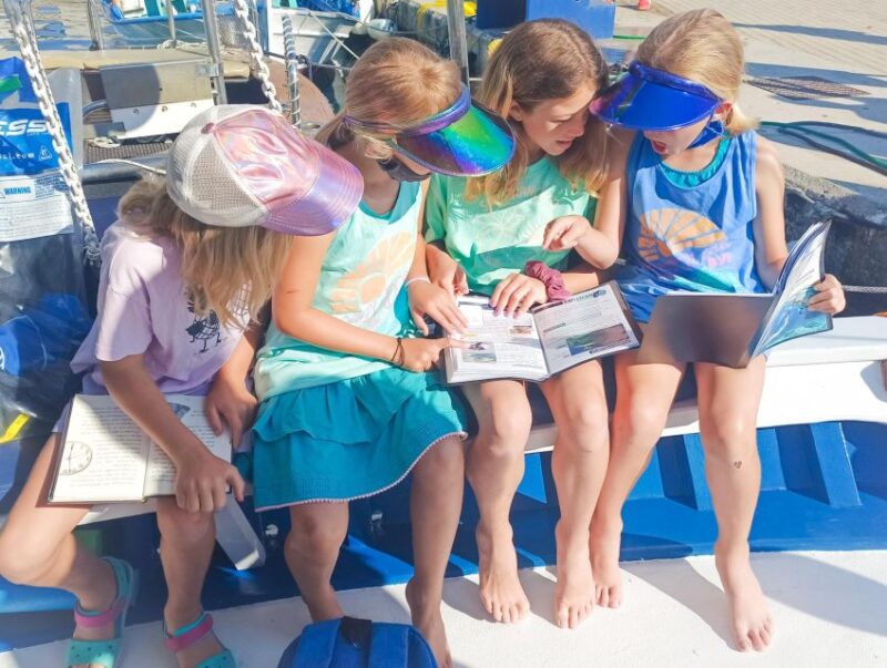 Lefkada: Private Snorkelling Tour - Key Points