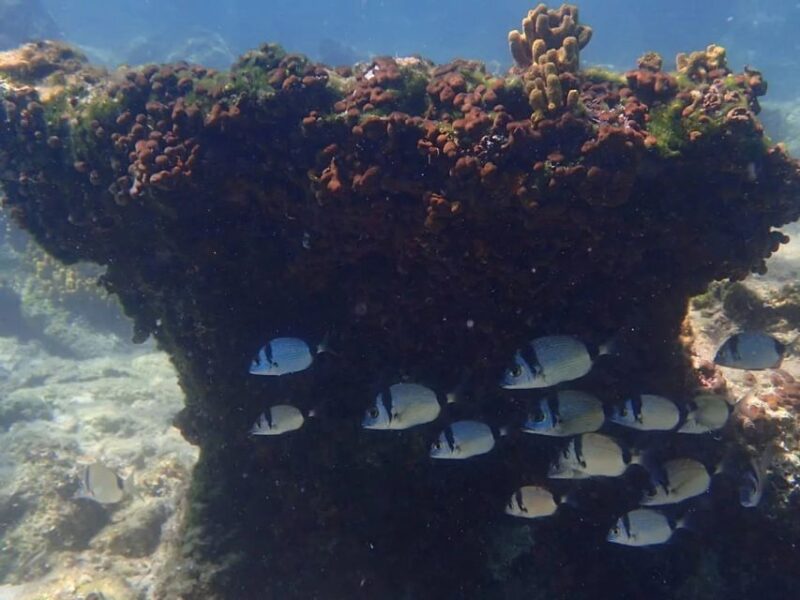 Lefkada to Lefkada 7 Day Scuba Diving Sailing Tour - Sailing Itinerary