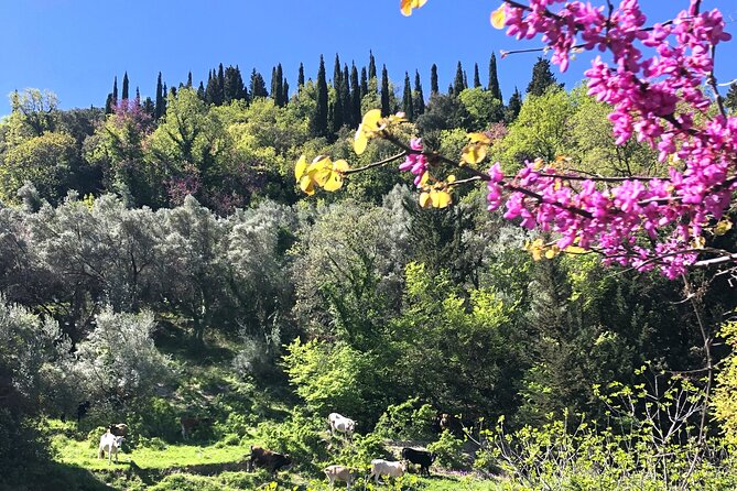 Lefkada Tour on Electric Bike (Tailor-made) - Capturing Memorable Moments