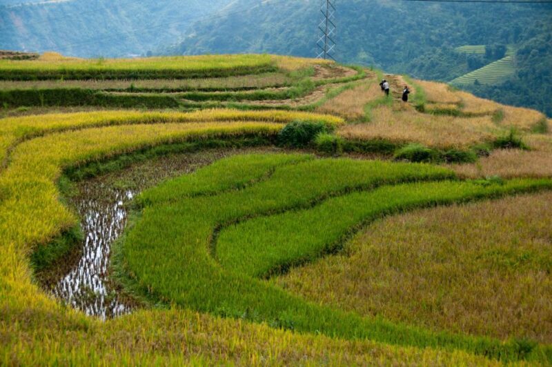 Legazpi: Mayon Volcano ATV Tour - Scenic Highlights