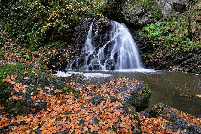 Legendary Tour of the Black Isle From Inverness or Invergordon - Exploring the Black Isle