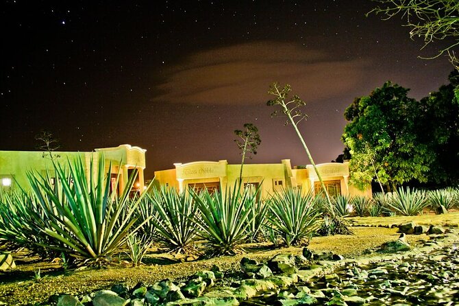 Legends and Night Tour to Tequila From Guadalajara - Experience Highlights