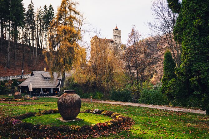Legends&Wildlife Awaits: Draculas Castle & Bear Sanctuary - Key Points