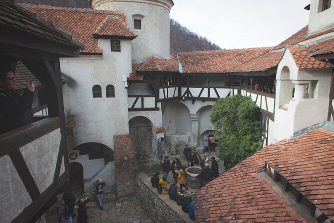 Legends&Wildlife Awaits: Draculas Castle & Bear Sanctuary - Witness the Captivating Bear Sanctuary
