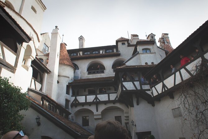 Legends&Wildlife Awaits: Draculas Castle & Bear Sanctuary - Uncover Draculas Haunting Legends