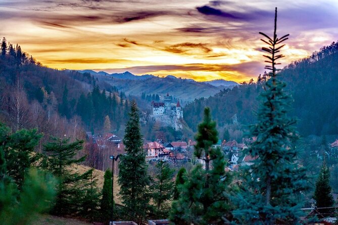 Legends&Wildlife Awaits: Draculas Castle & Bear Sanctuary - Memorable Experiences and Lasting Impressions