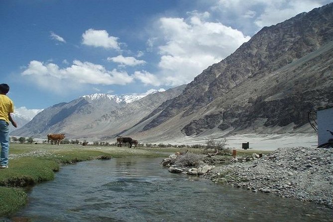 LEH LADAKH TOUR (6 Nights /7 Days) - Sightseeing and Excursions