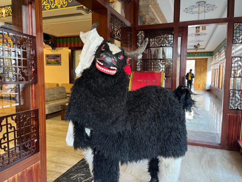 Leh: Nubra Valley Day Trip via Khardung La Pass - Customer Feedback
