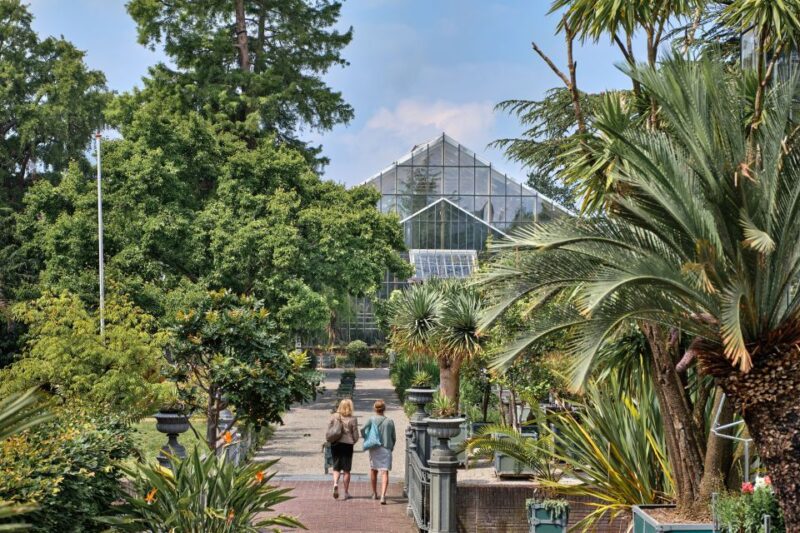 Leiden: Hortus Botanicus Entry Ticket - Accessibility and Amenities