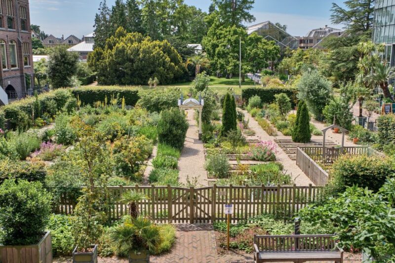 Leiden: Hortus Botanicus Entry Ticket - Historic Significance