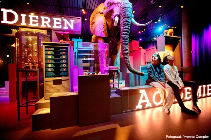 Leiden: Museum of World Cultures - Diverse Cultural Exhibitions