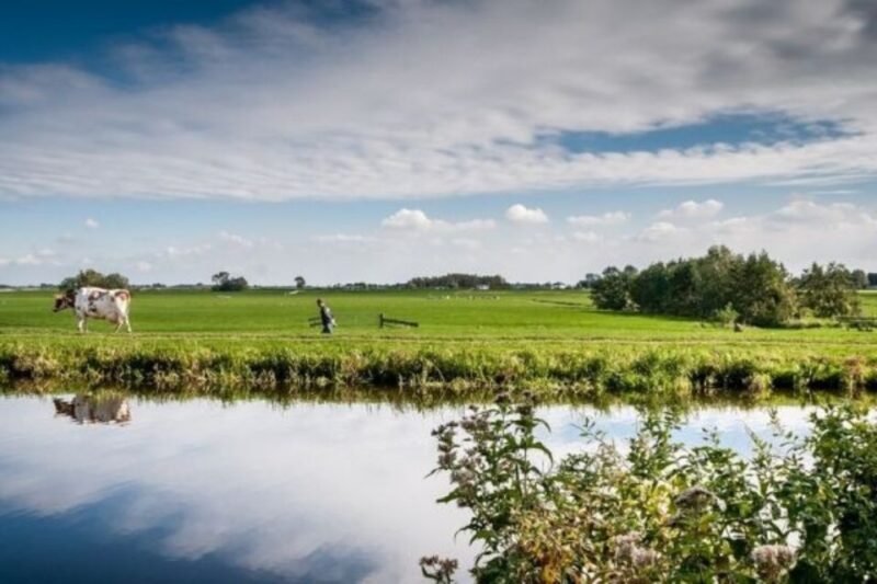 Leiden: Windmill and Countryside Cruise Near Keukenhof - Cruise Details