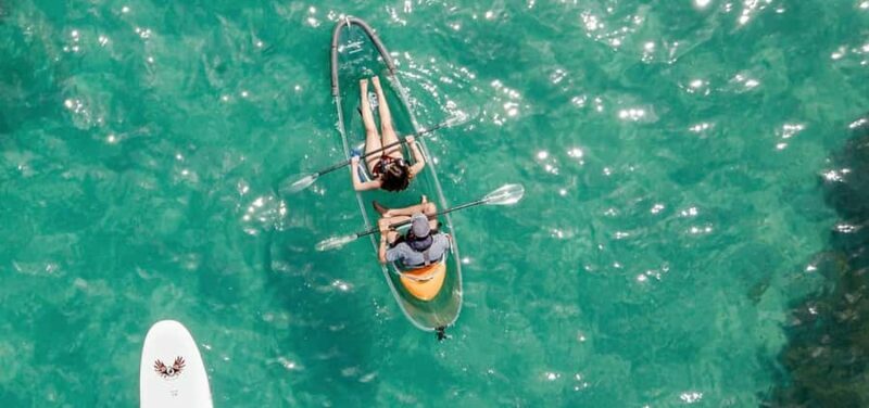 Leigh: Goat Island Clear Kayak Rental - Introduction: Why Consider This Kayak Adventure?