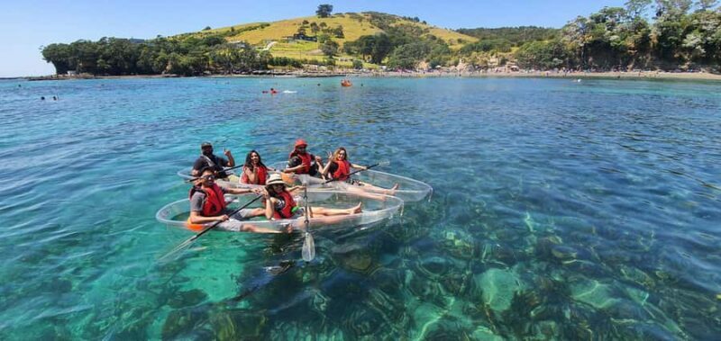 Leigh: Goat Island Clear Kayak Rental - Why This Experience Offers Good Value
