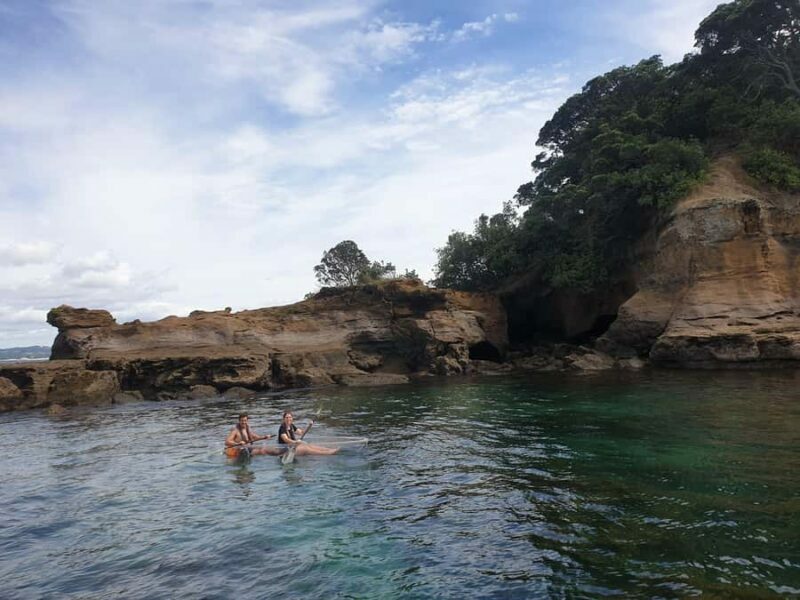 Leigh: Goat Island Clear Kayak Rental - Who Will Love This Tour?