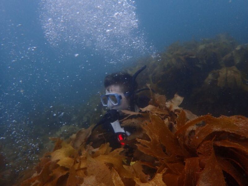 Leigh: Goat Island Guided Diving Tour for Certified Diver - Diving Details