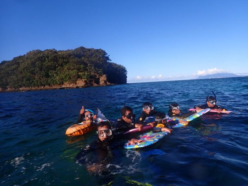 Leigh: Goat Island Guided Snorkeling Tour for Beginners - Key Points