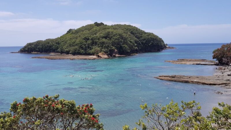 Leigh: Goat Island Guided Snorkeling Tour for Beginners - Participant Requirements