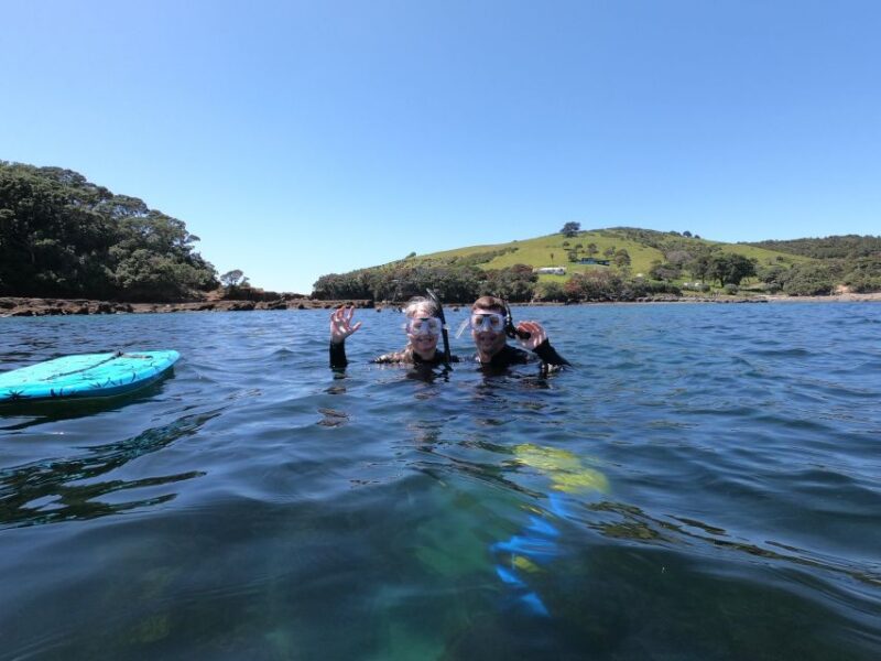 Leigh: Goat Island Guided Snorkeling Tour for Beginners - Customer Feedback