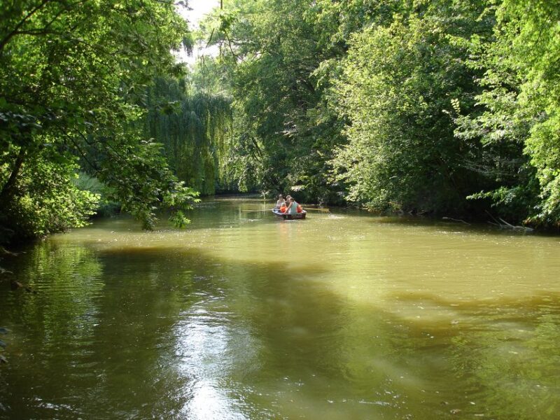 Leipzig: Riverside Forest Tour on the Pleisse - Key Points