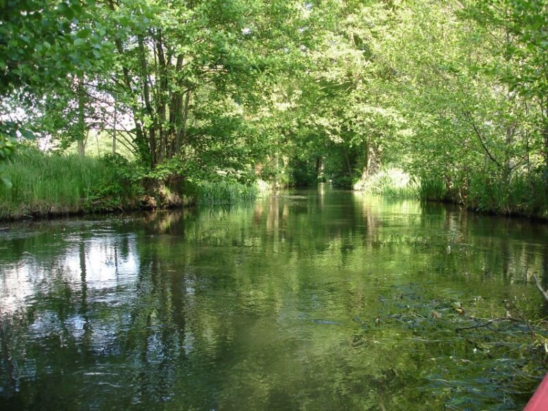Leipzig: Riverside Forest Tour on the Pleisse - Activity Details