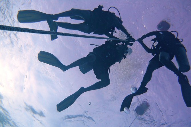 Leisure Diving, 3 Dives at Tunku Abdul Rahman Marine Park in Kota Kinabalu - Accessibility and Recommendations