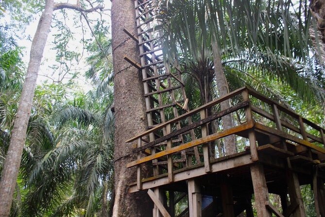 Lekki Conservation Center Extraordinary Tour - Pickup Information