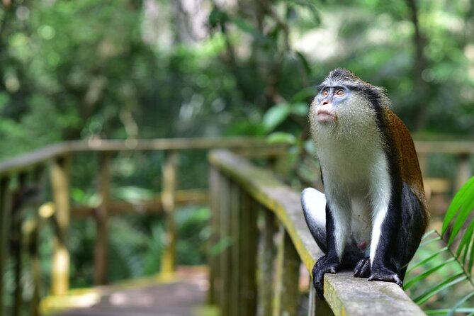 Lekki Conservation Center Extraordinary Tour - Customer Feedback
