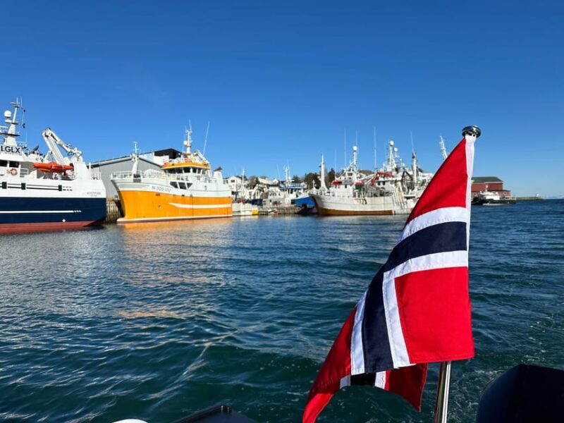 Leknes: 4 Hours Private Exclusive Boat Sightseeing - Itinerary and Highlights