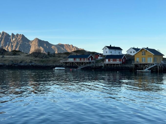 Leknes: 4 Hours Private Exclusive Boat Sightseeing - Weather Considerations