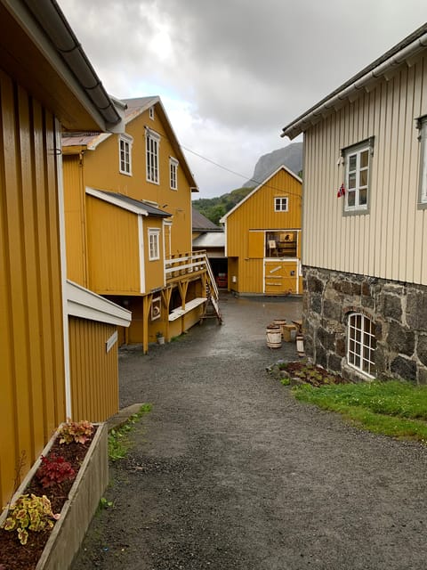 Leknes: 6 Hours Private Exclusive Car Sightseeing in Lofoten - Participant Guidelines