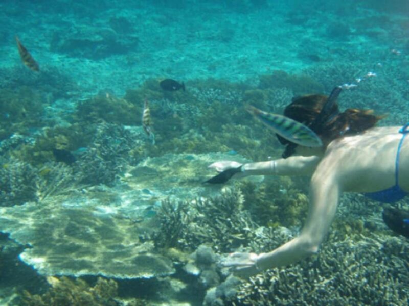 Lembongan : Fully Enjoy! Snorkeling, Sightseeing /1day Tour - Important Information and Requirements