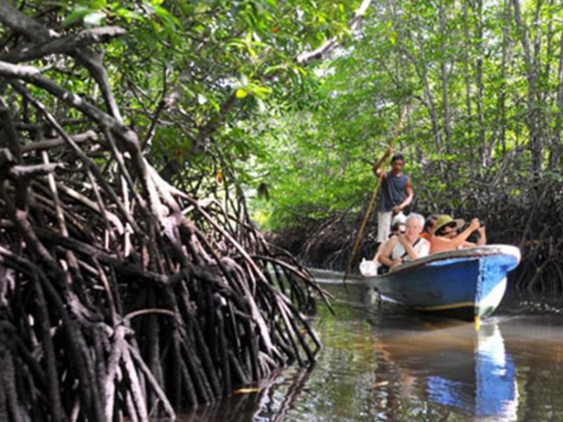 Lembongan : Fully Enjoy! Snorkeling, Sightseeing /1day Tour - Departure Locations and Times