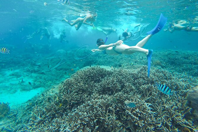 Lembongan Snorkeling and Day Tour - Pickup and Dropoff