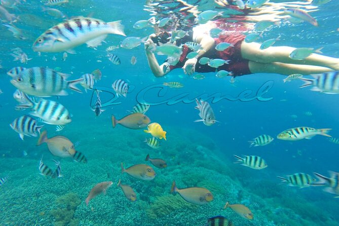 Lembongan Snorkeling and Day Tour - What to Bring