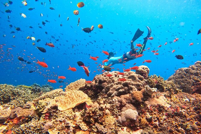 Lembongan Snorkeling and Island Tour - Tour Overview