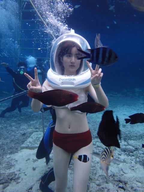 Lembongan:Seawalker and Tour Lembongan 3 Spot - Tour Itinerary and Highlights