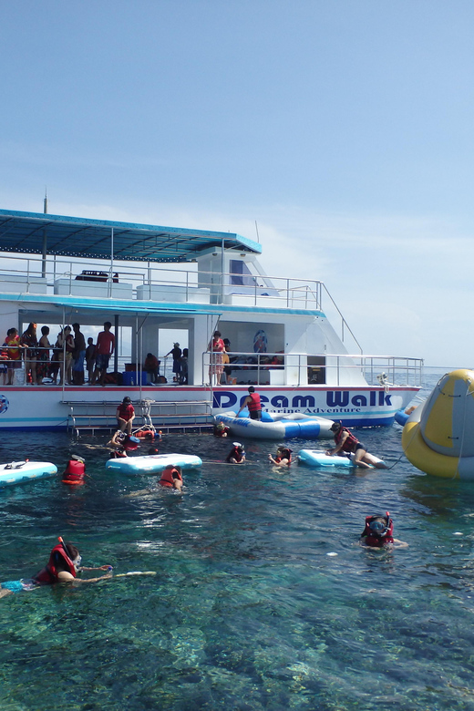 LEMBONGAN:SNORKELING 3 POINT AREA (MANTA,CRISTAL,MANGROVE) - Snorkeling Locations