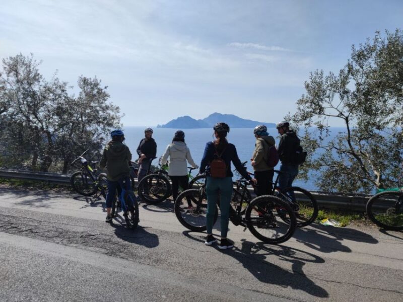 Lemon Nursery & Limoncello: Sorrento E-Bike Tour - Key Points