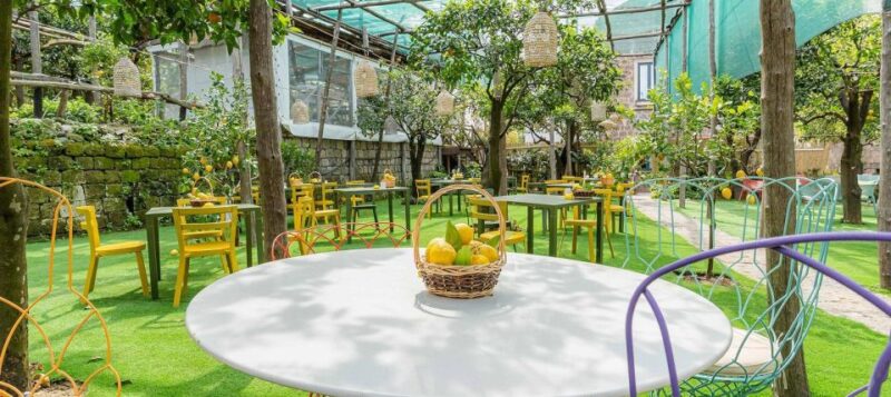Lemon Tour With Lunch/Dinner - Key Points