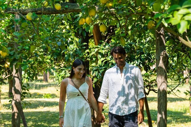 Lemon Tour With Lunch or Dinner - Key Points